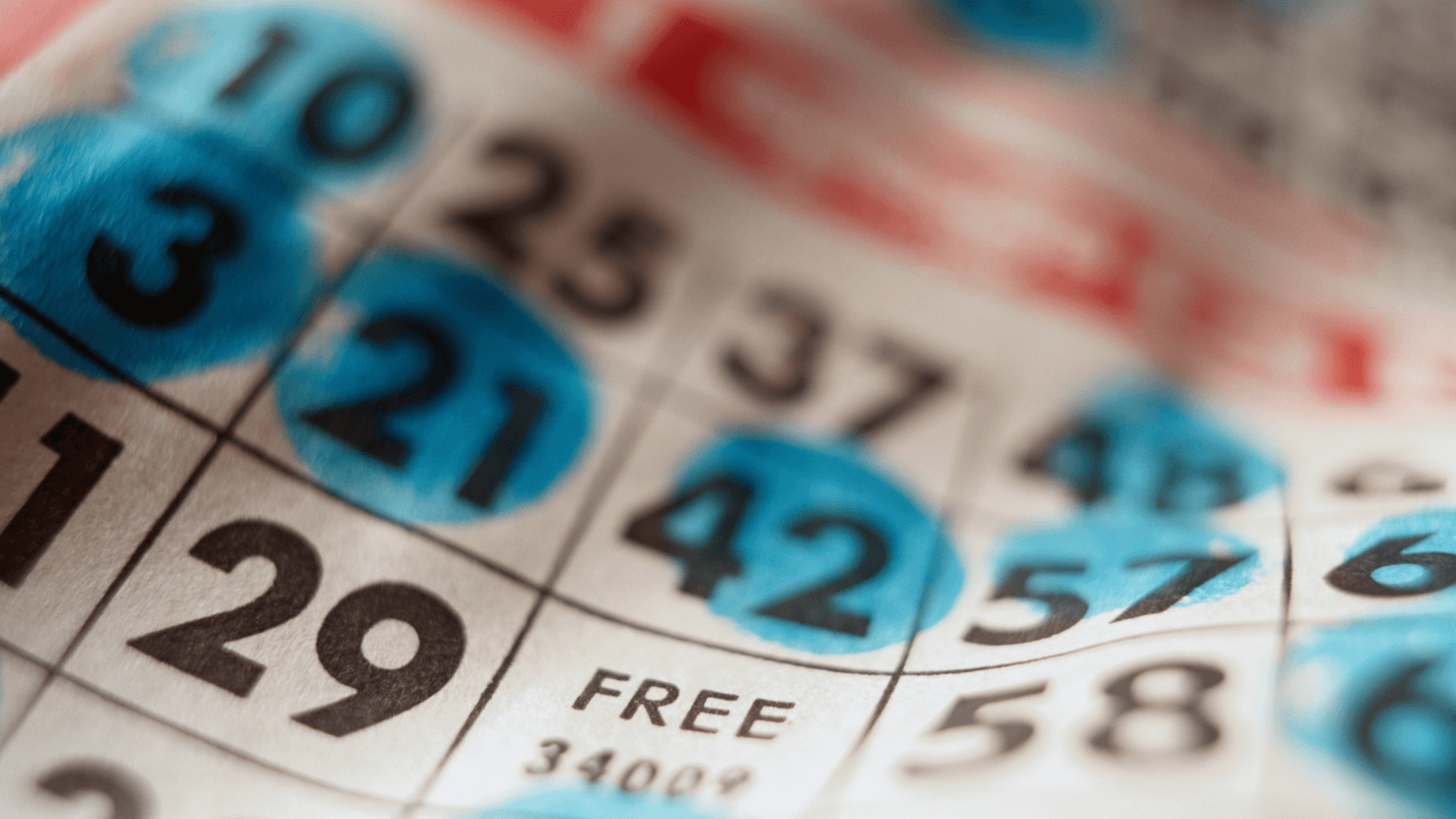 Τα πάντα για τις διαδικτυακές κάρτες και τις κλήσεις Bingo image